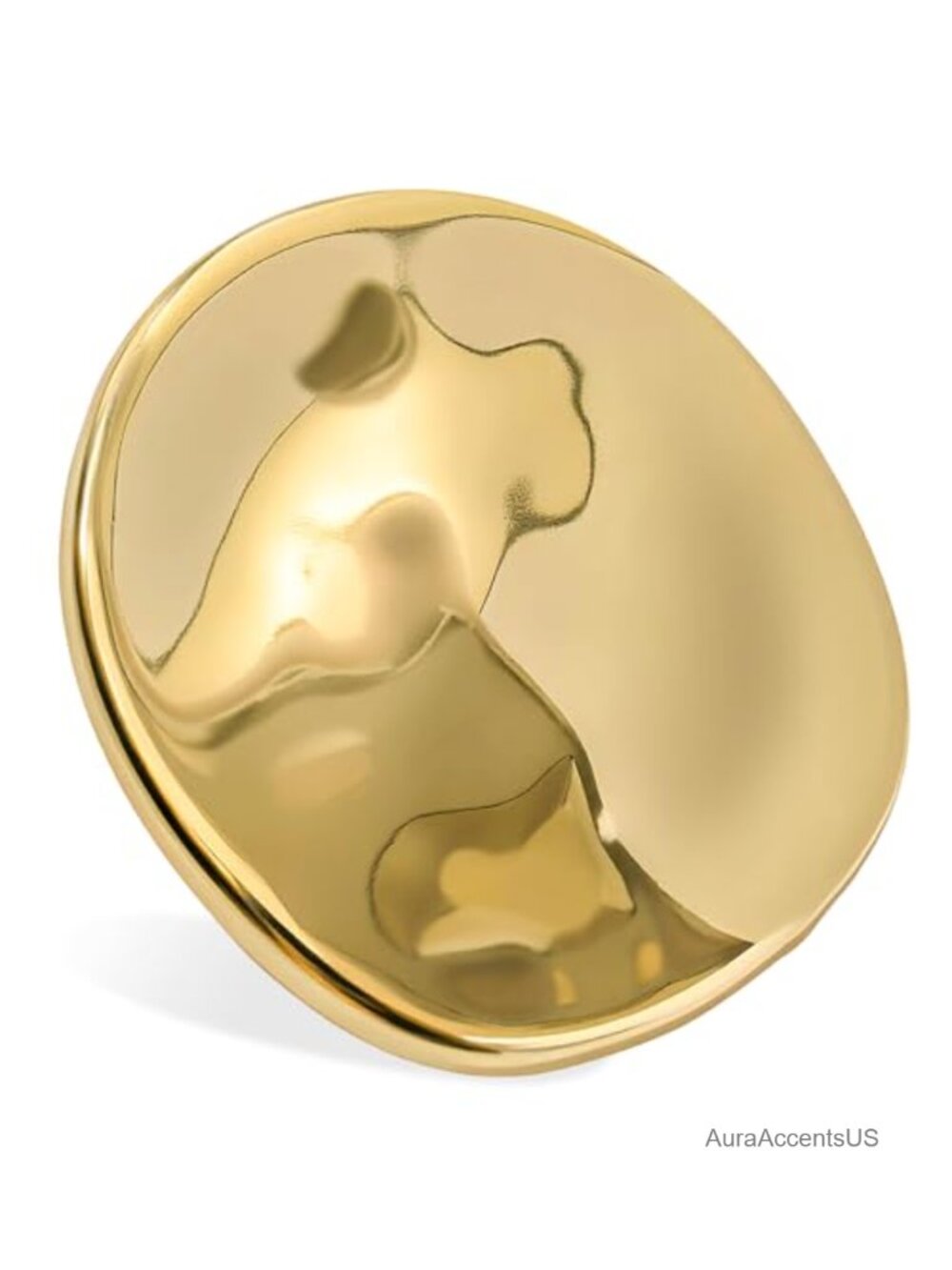 Stainless Steel Brooch Pin for Sweaters Coats and Parties